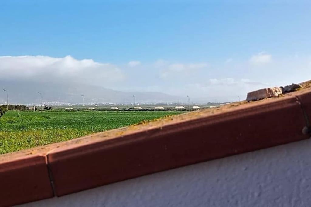 Cammini Di Sale Casa Vacanze Tra Le Saline Torre Nubia Eksteriør billede