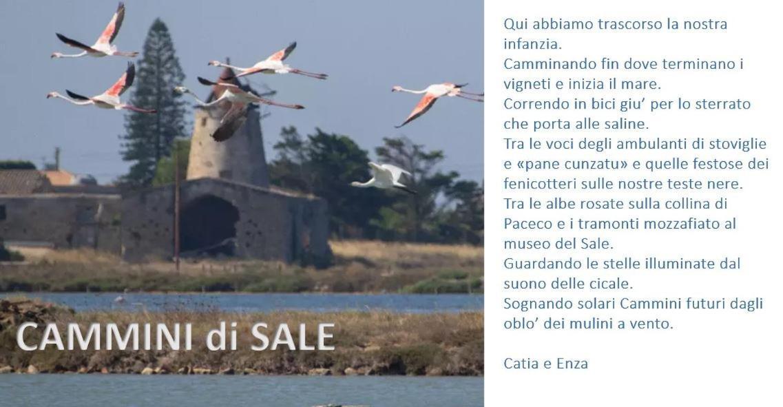 Cammini Di Sale Casa Vacanze Tra Le Saline Torre Nubia Eksteriør billede